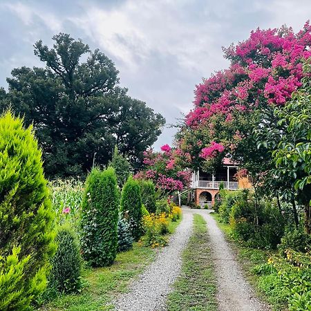 Guesthouse Kamelia Martvili Luaran gambar