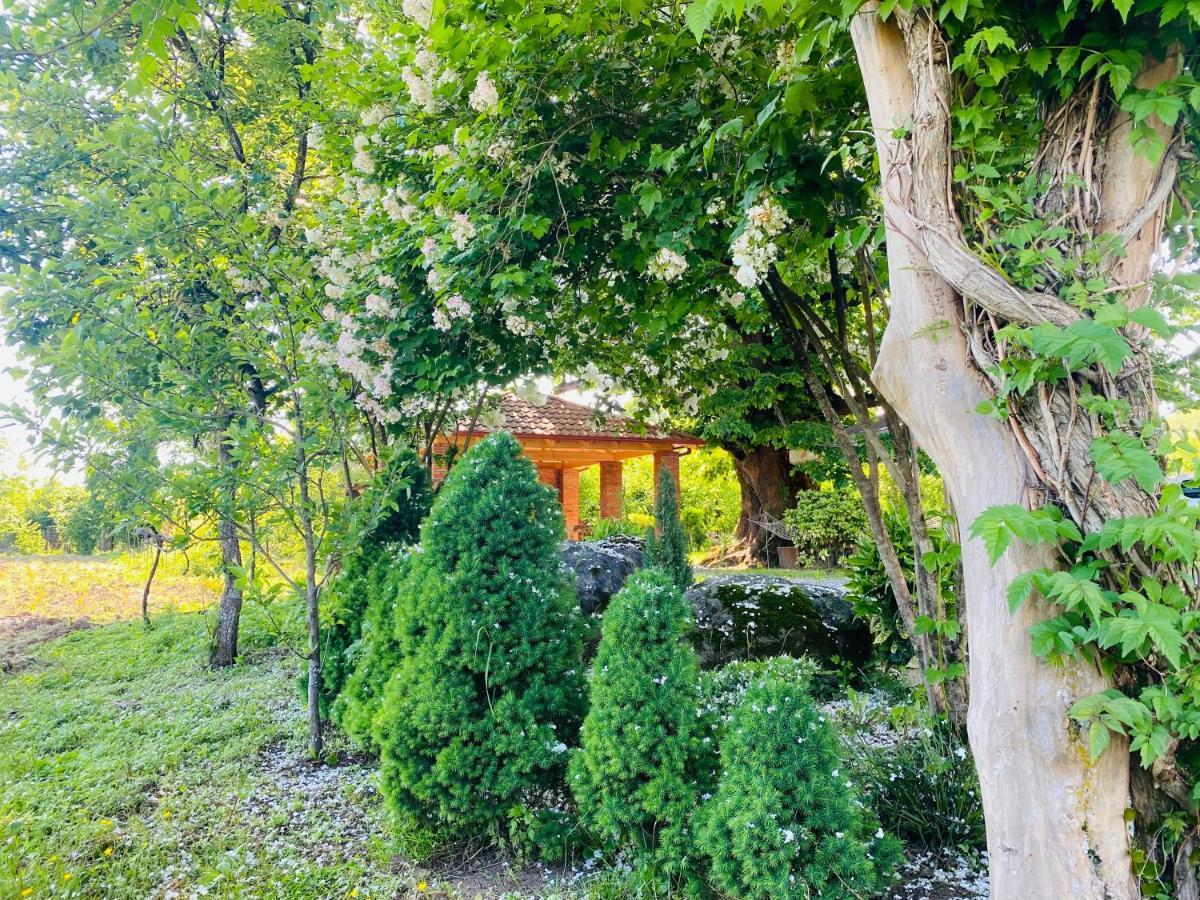 Guesthouse Kamelia Martvili Luaran gambar