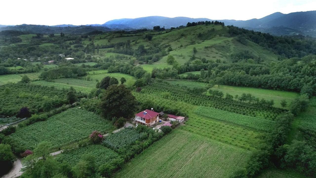Guesthouse Kamelia Martvili Luaran gambar