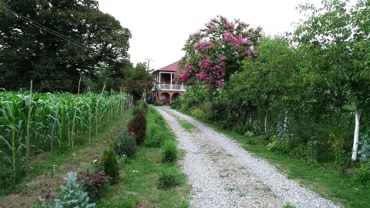 Guesthouse Kamelia Martvili Luaran gambar