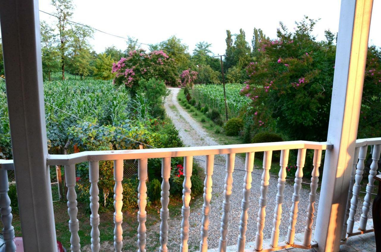 Guesthouse Kamelia Martvili Luaran gambar