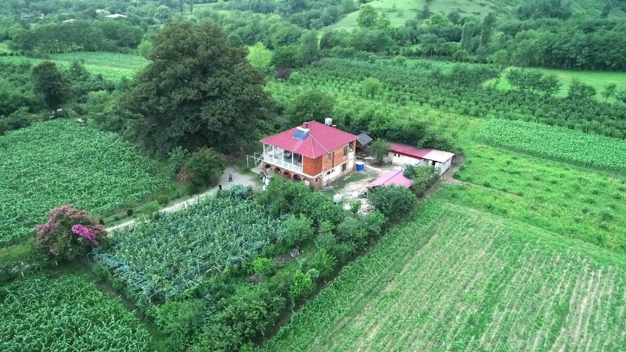 Guesthouse Kamelia Martvili Luaran gambar