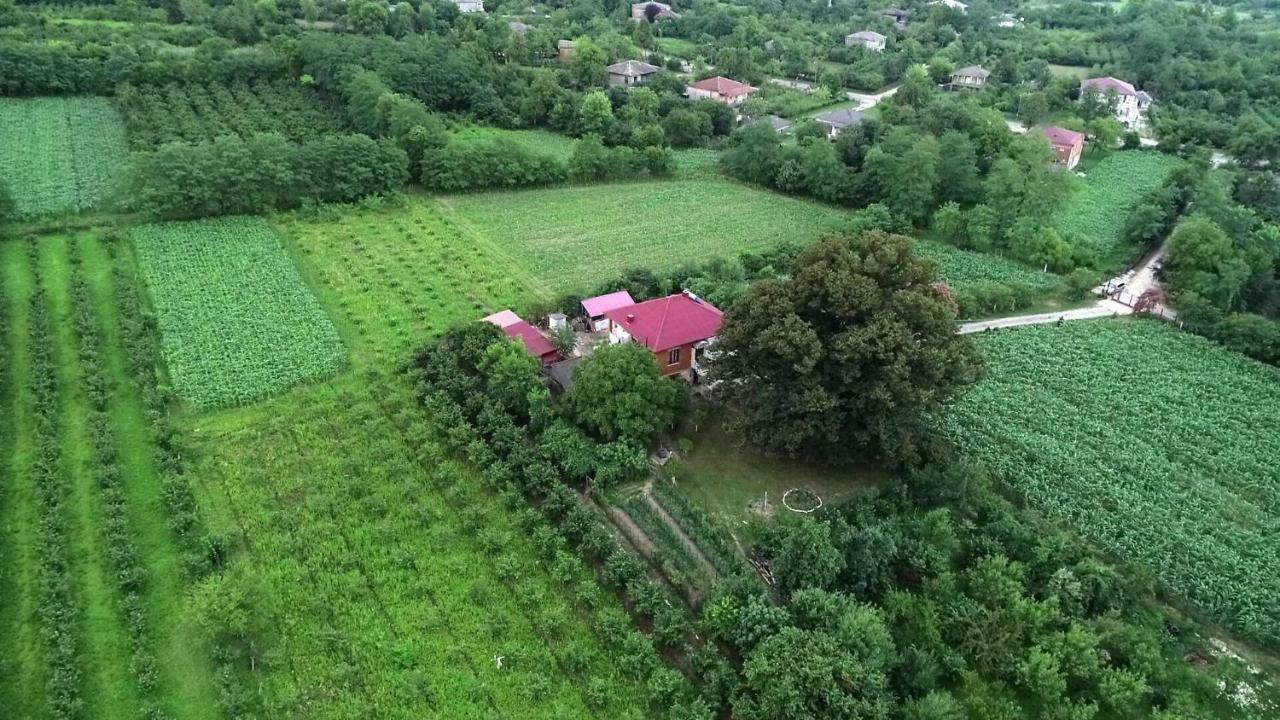 Guesthouse Kamelia Martvili Luaran gambar