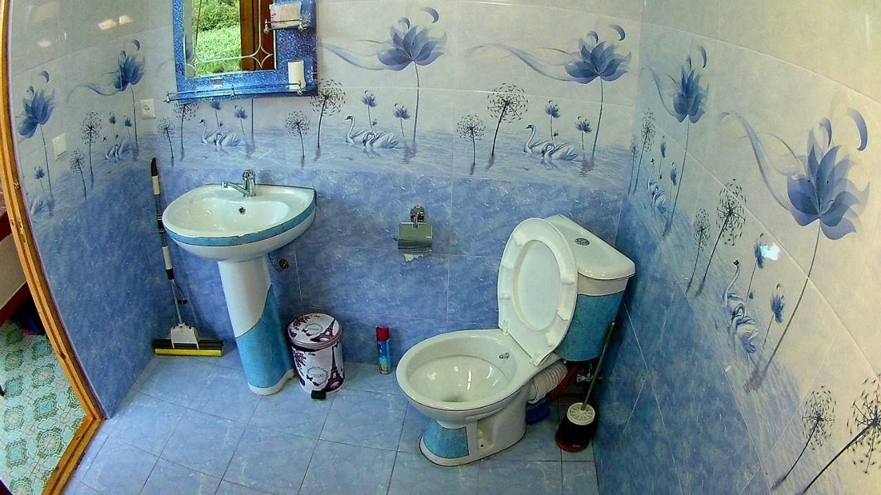 Guesthouse Kamelia Martvili Luaran gambar